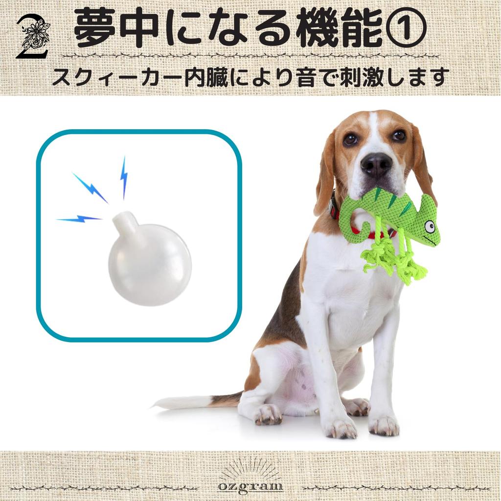 Ozgram Chameleon Dog Toy for Dogs and Plush Chew Toy with Teeth Dental Stress Relief Cats, Sounds, Brushing, Care, [Green]