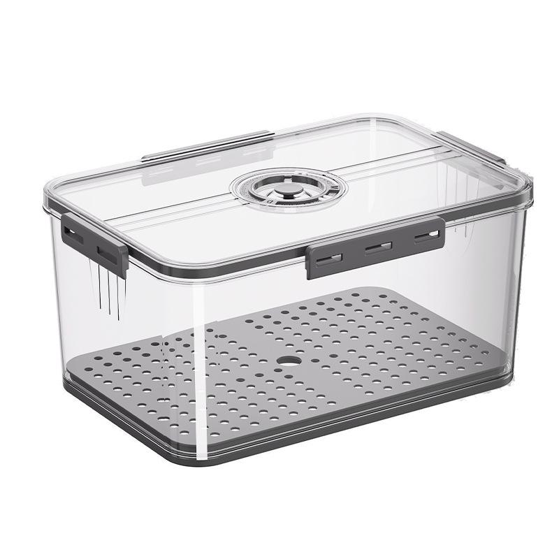 Fridge Storage Container