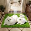 3D Printed Pomeranian Dog Mat Absorbent Animal Shaped Carpet Cute Diatom Mud Mat  Home Floor Decor