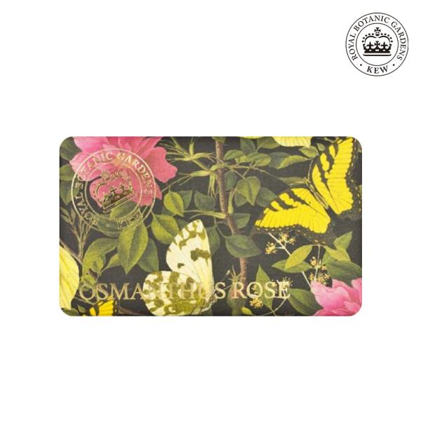 

Osmanthus Rose Diffuser Soap 240g (1 unit) Paraben-free