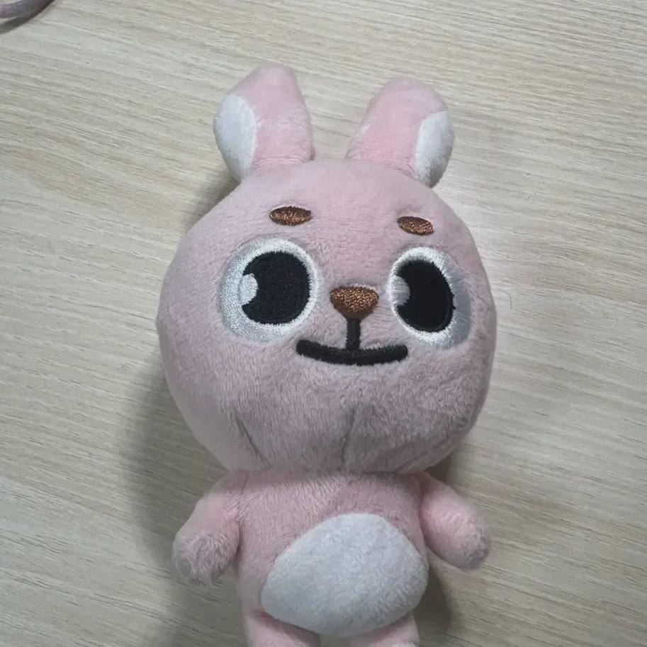 

Day6 Denimals Pilki 20