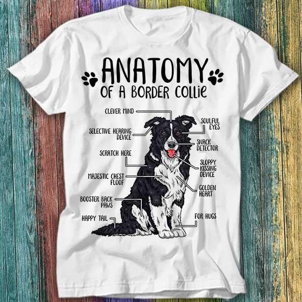 Anatomy Of A Border Collie T Shirt Top Tee 183