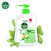 Dettol Plant Care Hand Wash for Kids, 500g X 4 Bottles