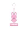 Stray Kids 2025 Fanmeeting [SKZ 5’CLOCK] Official SKZOO Micro Keyring – Character Plush Keychain