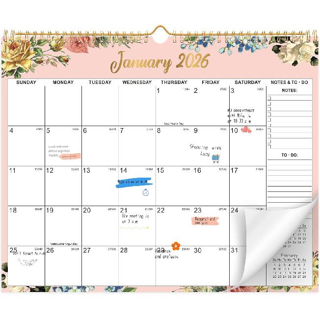 Wall Calendar 2026-2027, 18 Month Large Desk Calendar from January 2026 To June 2027 14.5" X 11.8" Monthly Calendar with Twin-Wire Binding for Home