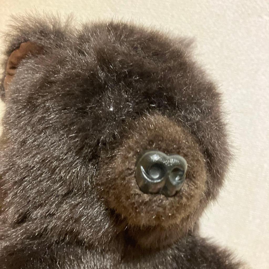[USED] Realistic fur bear puppet plush toy puppet show storytelling teddy bear bear lucky bear