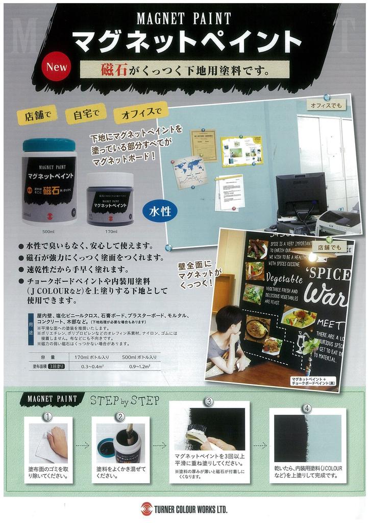 Turner Color Magnetic Paint 170ml