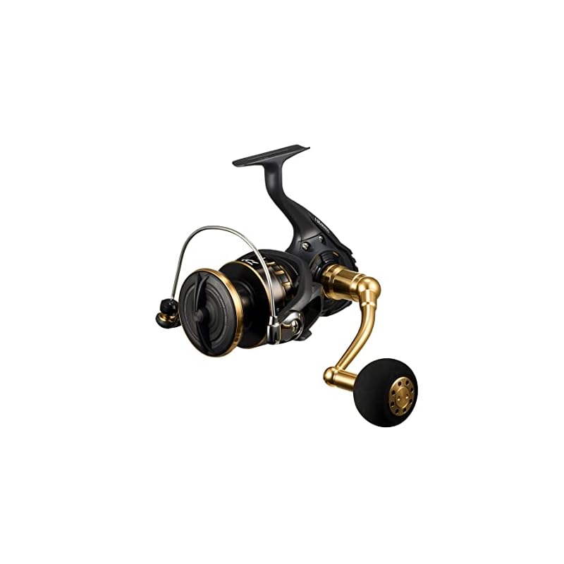 Moulinet Spinning Daiwa 23BG SW 8000-P