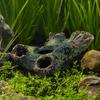 Decaying Trunk Aquarium Hide Decorative Betta Fish Hideout with Multiple Holes
