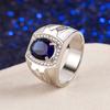 SACE GEMS Luxurious Copper Alloy Zircon Wedding Engagement Ring Men Jewelry Gift