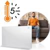 Grzejnik Na Podczerwień Promiennik Podczerwieni 960 W Berdsen Bd-989 Pilot Wifi Aplikacja