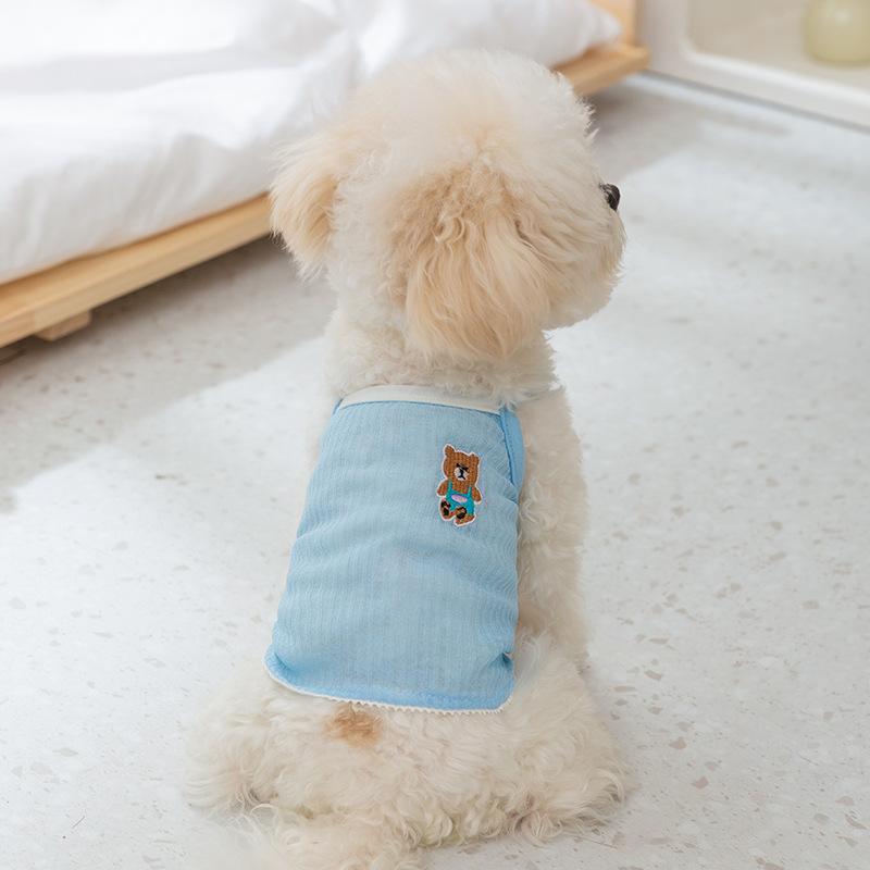 Söt björn vår sommar hundsele liten hund nallebjörn två fötter tunn andningsbar katt husdjurskläder