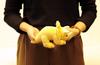 Yoshitoku Lovely Dinosaur Plush Toy Triceratops Small 180026