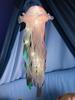 Jellyfish Sleeping Warm Light Button Battery Hanging Ceiling Lantern with Ribbon&Bead LED Bulbs for Children Bedroom
