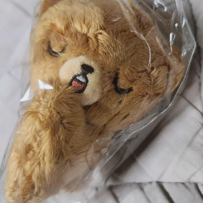 

NCT Мечта 127 Ли Хэчан Гом И Кукла Медведь-Мечтатель