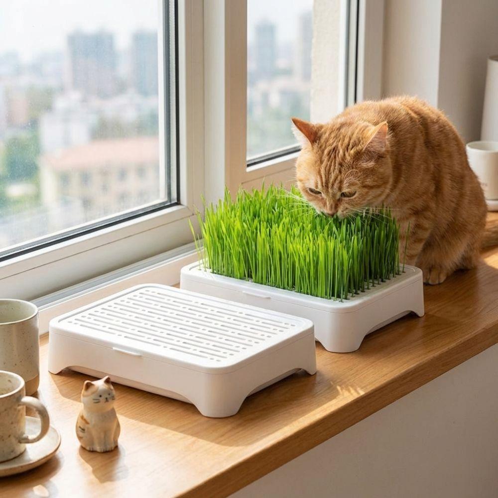 Anti-Pull Out Cat Grass Planter Plastic Wheat Seedling Pot Easy Grow Sprout Tray  Indoor Growing