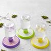 Clear Bottle Reservoir Habitat Insect Water Feeder Round Base Insect Waterer  Daily Hydration