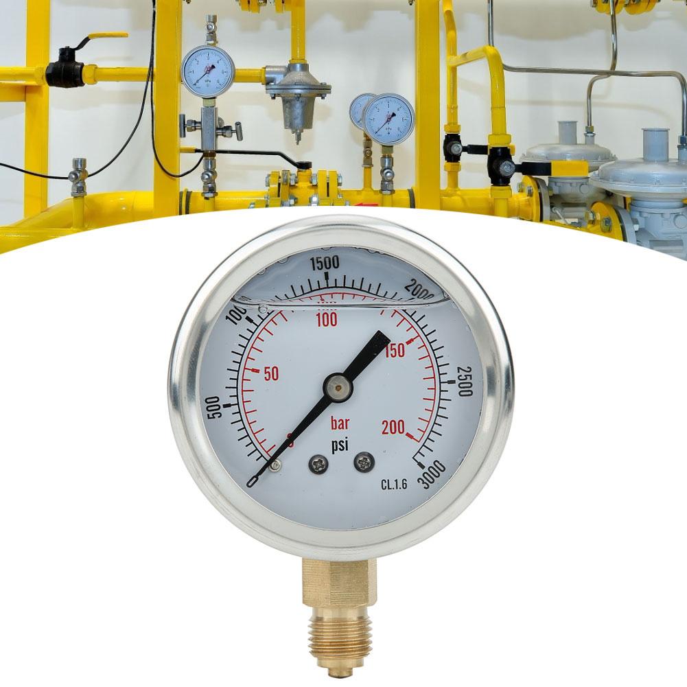 TS PGG604200bar 14BSP Y60 Radial Pressure Gauge for Household Pressure Measurement