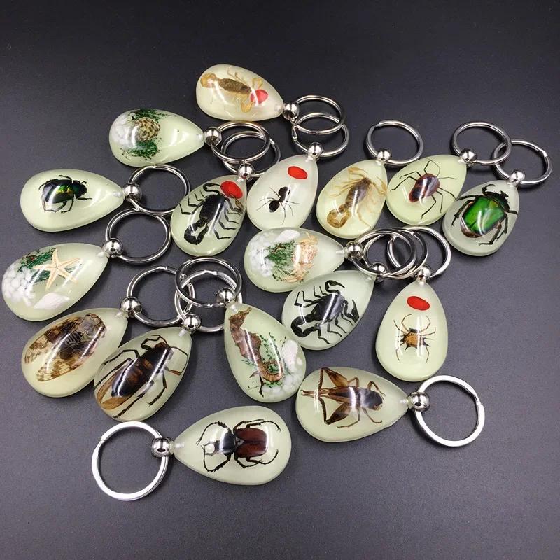 1PC Resin Insect Luminous Key Chain Noctilucent Scorpion Insect Specimen Pendant Tourist Souvenirs Color Random