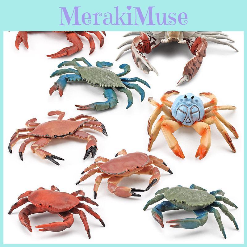 Realistic Plastic Crab Model Collection Vibrant Colors For Home Decor Educational Display