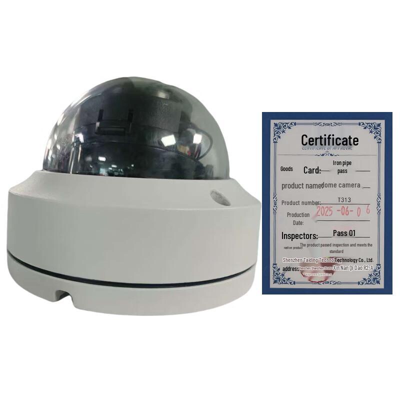 

T313 Dome Surveillance Camera CN plug (adapter included)