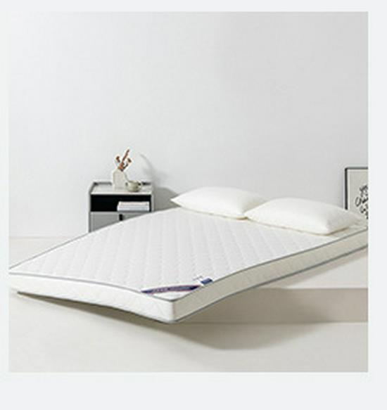 Single Soft Futon Mattress for Dorm - Comfortable Foldable Tatami Floor Mat