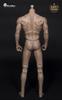 WorldBox AT012 Munage Man Scale Action Figure with Menstrual Parts and Clothes Not [TOYBARJAPAN] 1/6 (Head Included)
