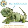 Igor The Iguana Plush by Tiger Tale Toys 26 Inches Long