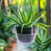 Plastic Hanging Water Catcher Tray for Round Hanging Baskets Plant Pot Clear Drip Pan Saucers with Built-in Hooks  8/10/12Inch