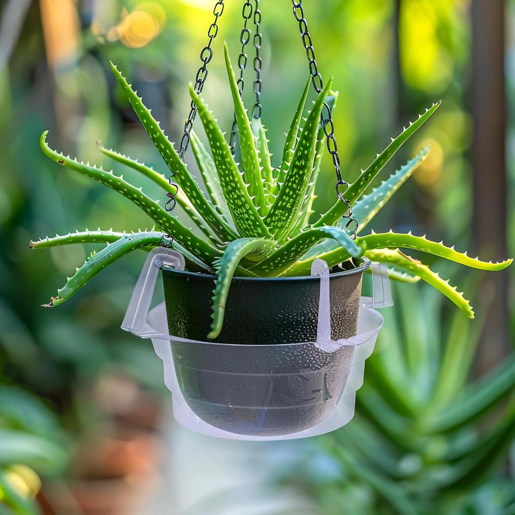 Plastic Hanging Water Catcher Tray for Round Hanging Baskets Plant Pot Clear Drip Pan Saucers with Built-in Hooks 8/10/12Inch