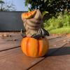 Cute Halloween Cat Pumpkin Statue Handmade Cat Desk Figurine  Christmas Celebration