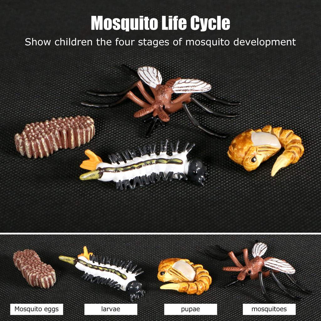 Insect Life Cycle Figurines Vinyl Ant Growth Model Toy Educational Mosquito Life CycleM4184 Mosquito (31.6g)