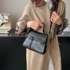 Niche Design Retro Handbag 2025 Autumn and Winter New Texture Handbag Korean Solid Color Messenger Bag Small Square Bag