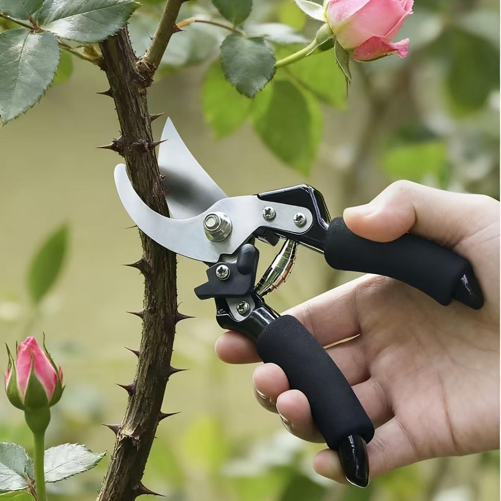 Garden Scissors for Pruning Branches And Picking Fruits Garden Accessories