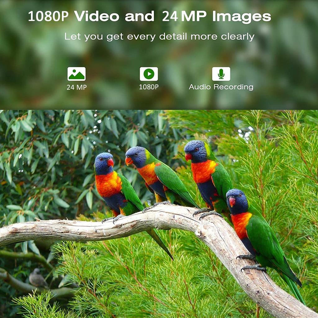 Solar Powered 1080P Wireless WiFi Smart Bird Feeder Camera Bird Watching Camera