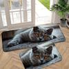 Tapis de Cuisine Long Chat Gris Mignon Regardant, Antidérapant Absorbant l'Eau Imprimé Animal Tapis de Sol pour Couloir Décoration de la Maison