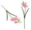 Tak - Schuimfreesia, lichtroze, 59 cm