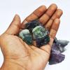 Lotto di Cristalli Grezzi Naturali Arcobaleno Fluorite – Pietre Curative Naturali Multicolore da 555 Carati