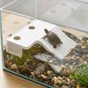 Stable Turtle Floating Platform Non-Slip Turtle Climbing Slope Reptile Ramp  Aquarium