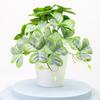 For Shops Bonsai For Weddings Parties Plastic 1pcs Beautiful