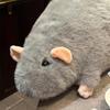 Kreative 40/55/90cm Große Maus Puppe Plüsch Cartoon Blumen Zweig Ratte Puppe Übergröße Weiche Tierfigur Kinder Geschenk Geburtstag
