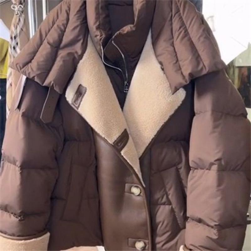 Women's Winter 2024 Brown Short Down Jacket - High-End, Trendy Lapel Style