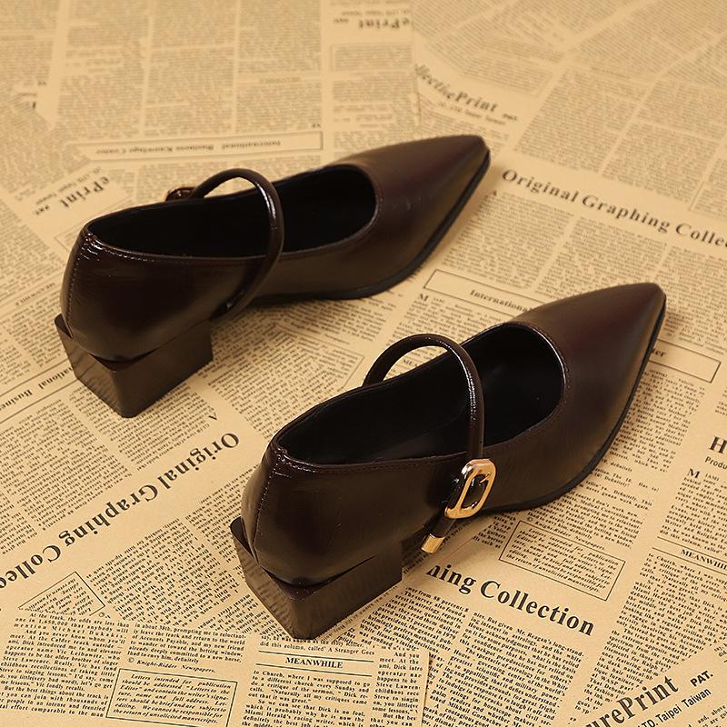 Thick Heel Design Sense Niche Shallow Mouth Single Shoes Women's Spring and Autumn New Pointed High Heel Mary Jane Small Leather Shoes
