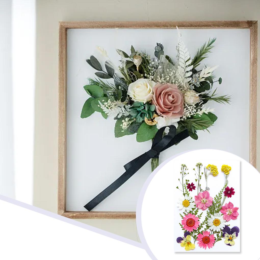 Dried Pressed Flower Handmade Decorative Artificial Flowers Dry Plant Resin Scrapbook Craft DIY Accessories Home