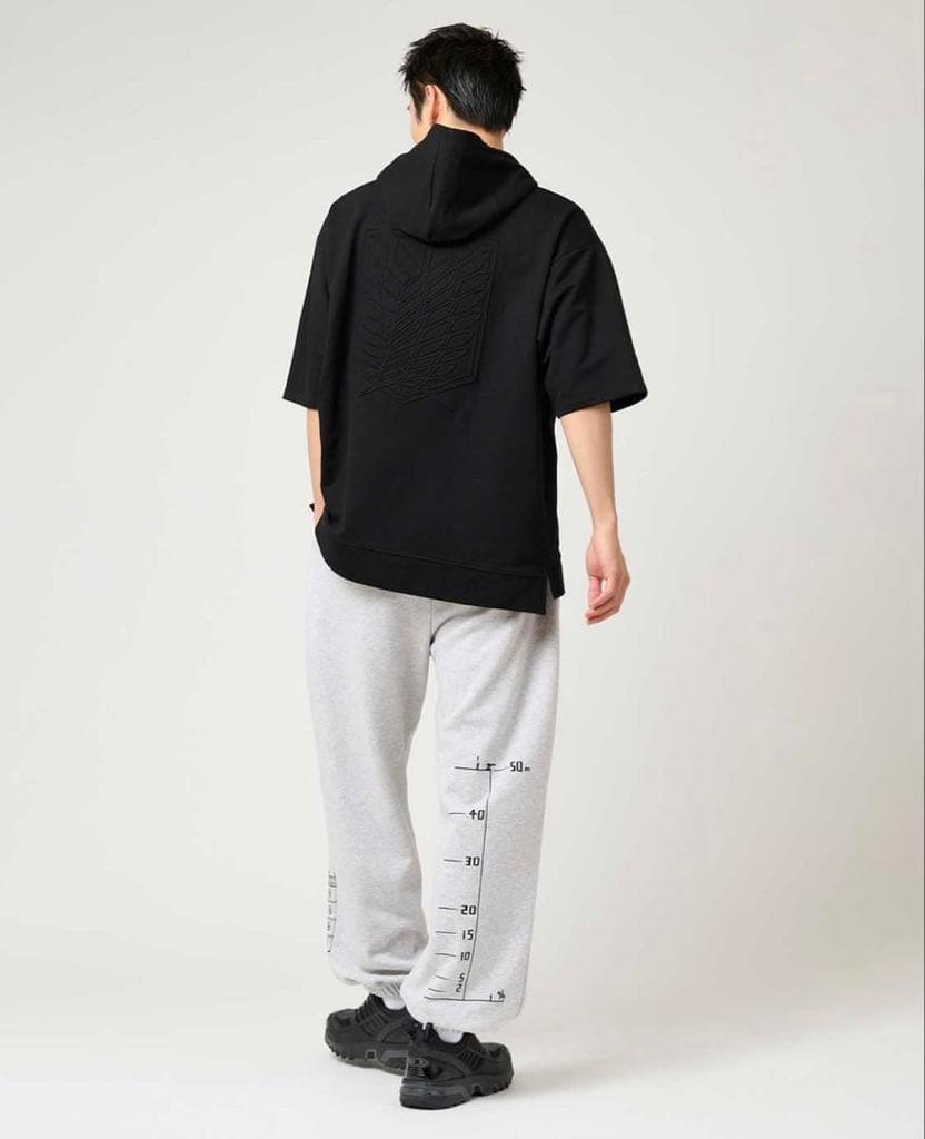 [USED] Graniph Attack on Titan Wings of Freedom Big Silhouette Short Sleeve Hoodie, Embroidered, Size L