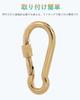 SEPWIK Carabiner, 316 Stainless Steel, Spring Hook, Multi-Function Spring Snap, Keychain, Gold