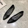 Women's Shoes Spring and Autumn New Style Pointed Shallow Mouth Flat Shoes Versatile Soft Sole Flat Shoes