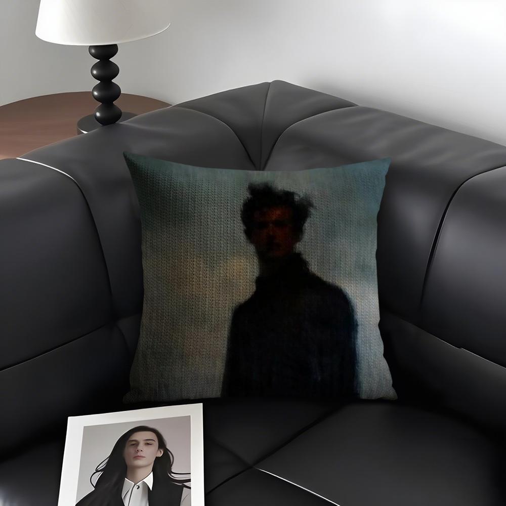 1PC Black White Art Design Cushion Cover Natural Linen Organic Fabric DoubleSided Printing Sofa Home Decor Gift Pillow Case