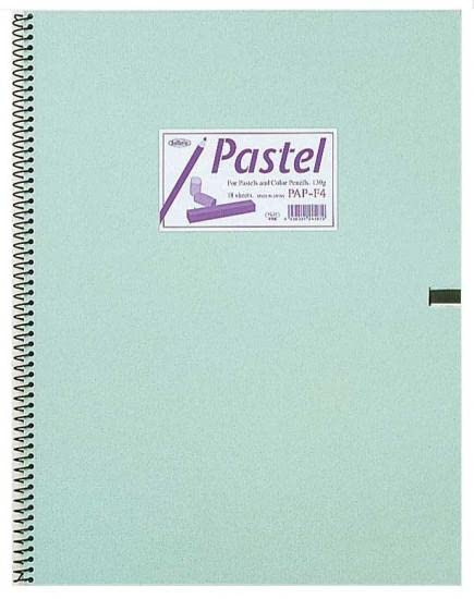 

Holbein Pastel Book Rough grain SM size 18 sheets binding 270311 PAP-SM 139.5g