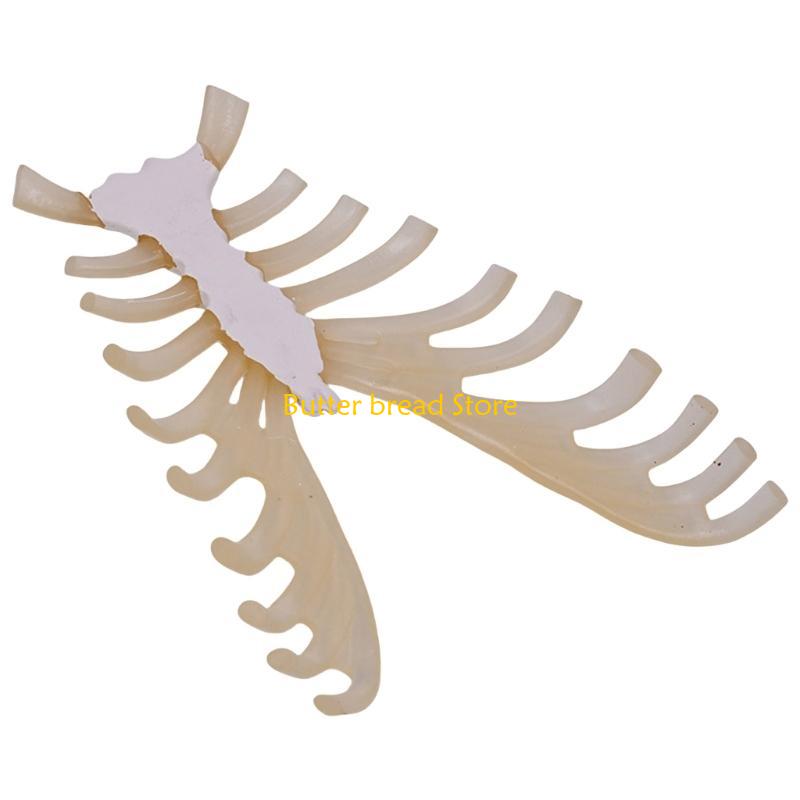 W89C Human Sternum Model Human Skeleton Model for Anatomy Medicals Teaching Model
